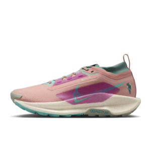 Nike Pegasus Trail 5 GORE-TEX