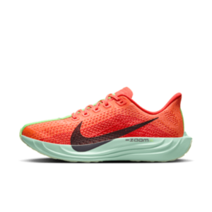 Nike Pegasus Plus