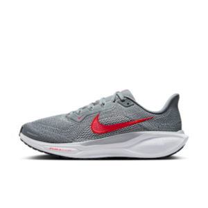 Nike Pegasus 41