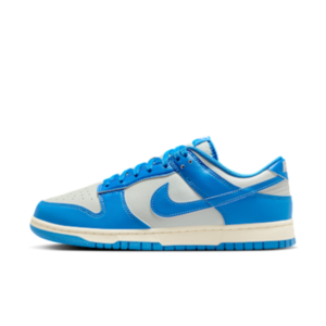 Nike Dunk Low Retro