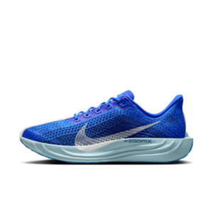 Nike Pegasus Plus