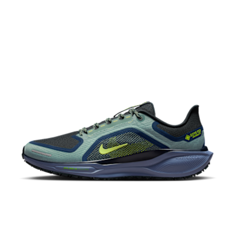 Nike Pegasus 41 GORE-TEX