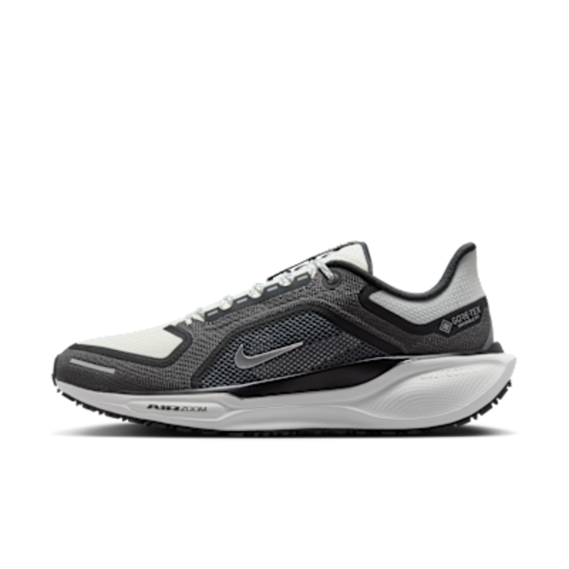 Nike Pegasus 41 GORE-TEX