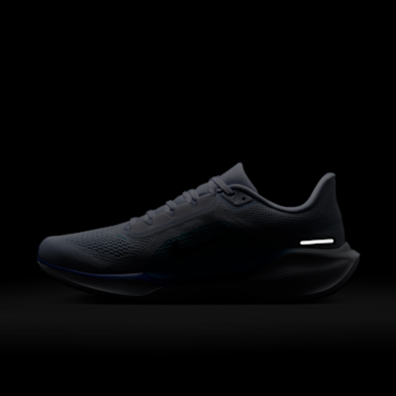 Nike Pegasus 41 - Imagen 12