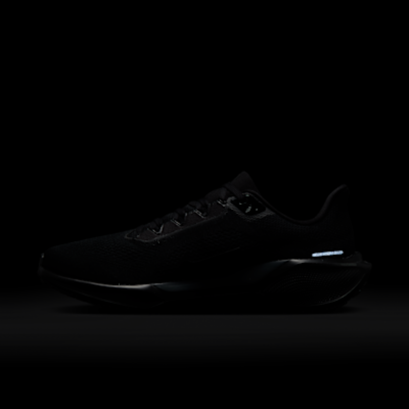 Nike Pegasus 41 - Imagen 12