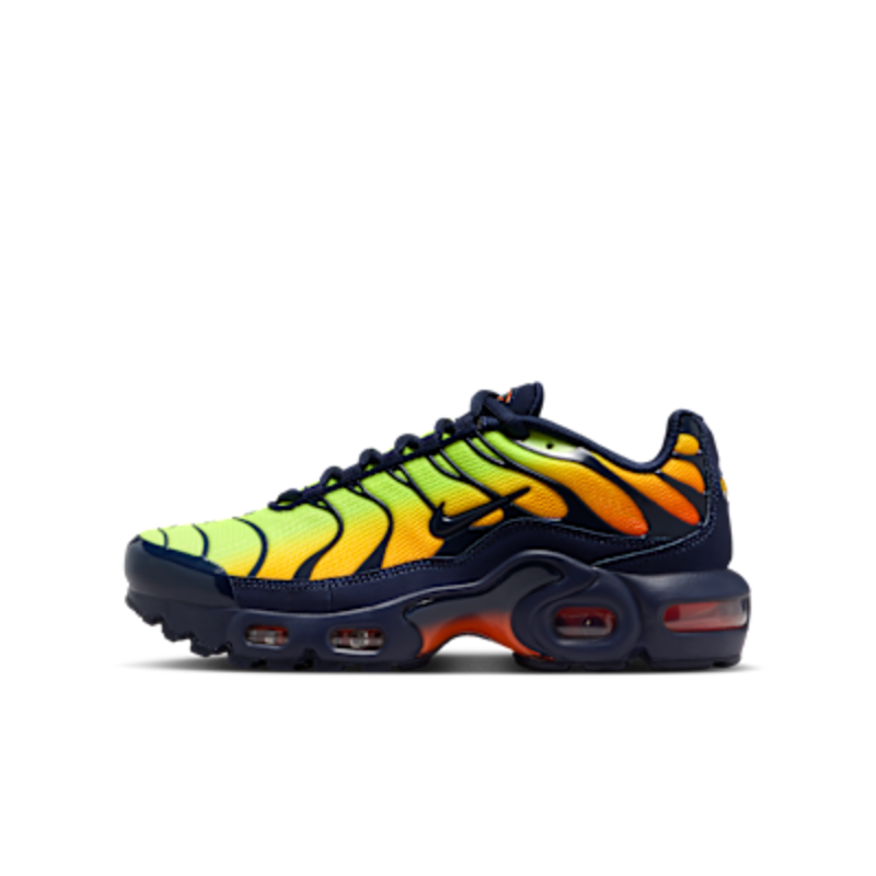 Nike Air Max Plus