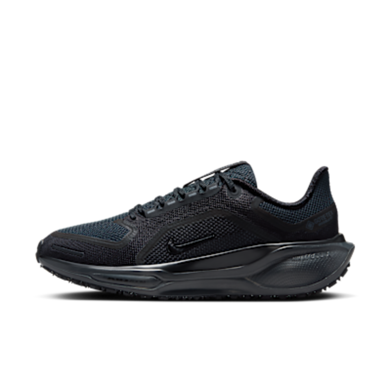 Nike Pegasus 41 GORE-TEX