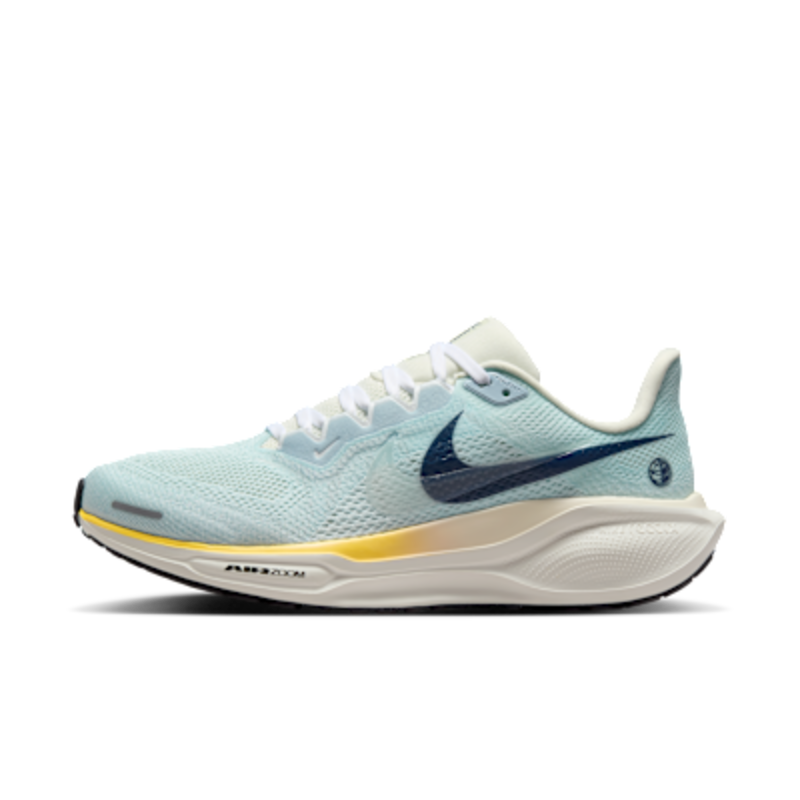 Nike Pegasus 41