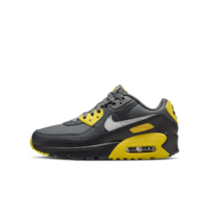 Nike Air Max 90 LTR