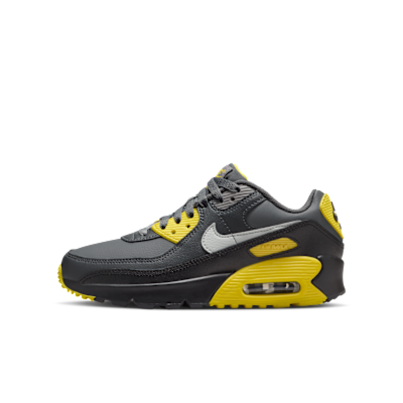 Nike Air Max 90 LTR