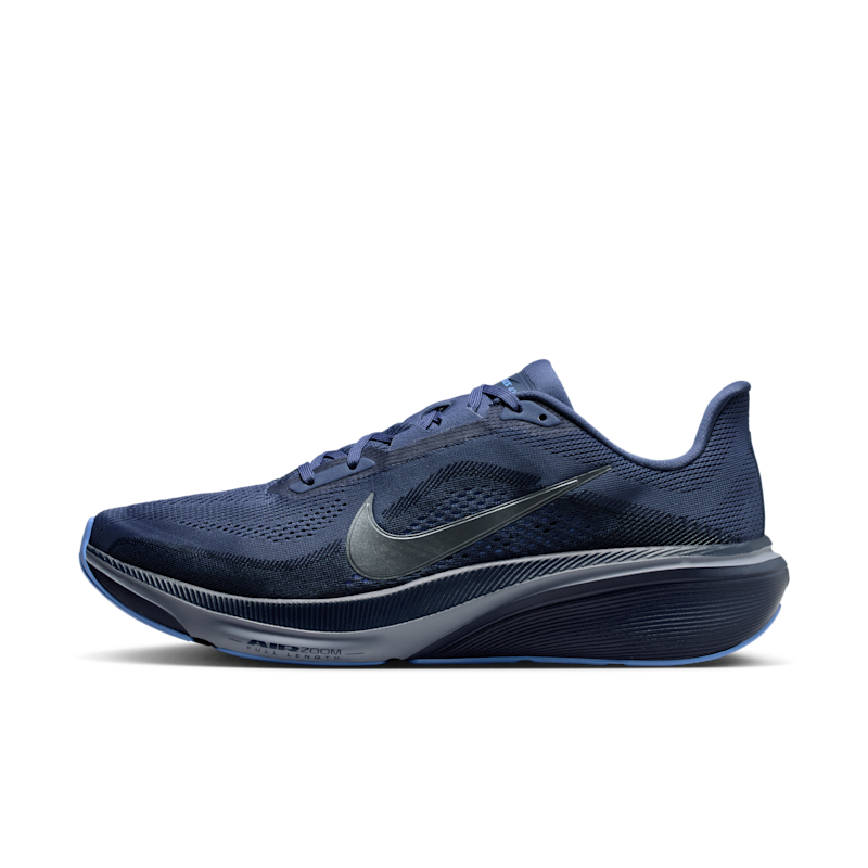 Nike Pegasus 42