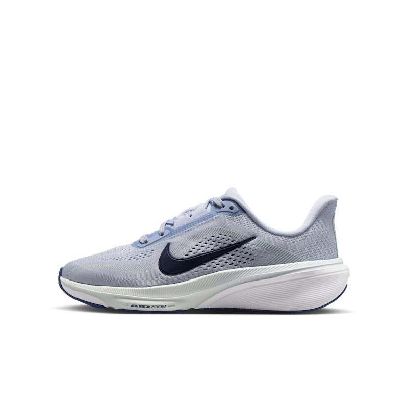 Nike Pegasus 42