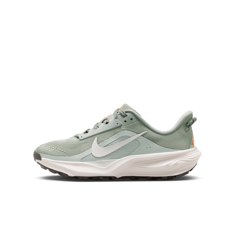 Nike ACG Pegasus Trail