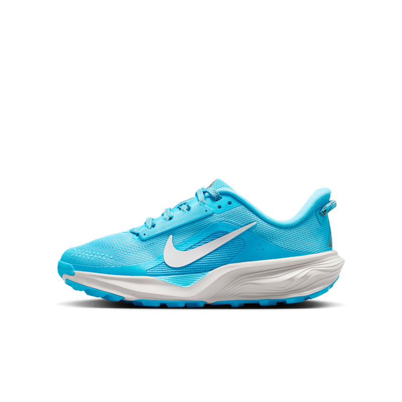 Nike ACG Pegasus Trail