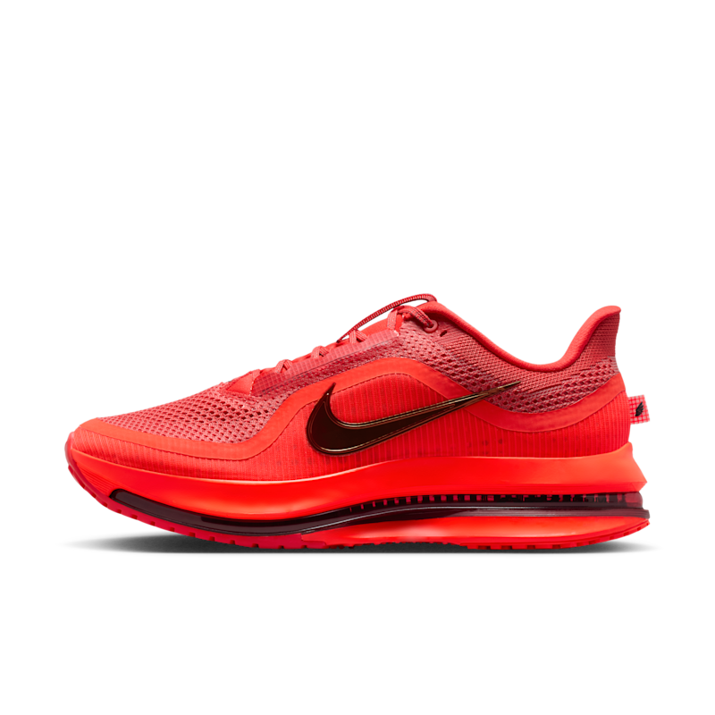 Nike Pegasus Premium