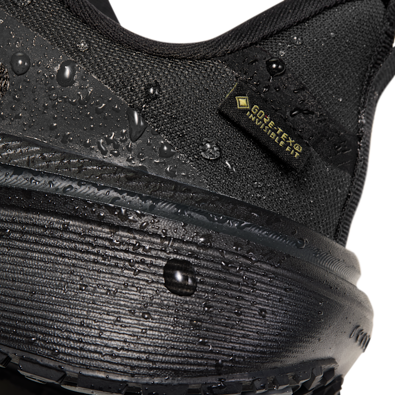 Nike Pegasus 42 GORE-TEX - Imagen 11