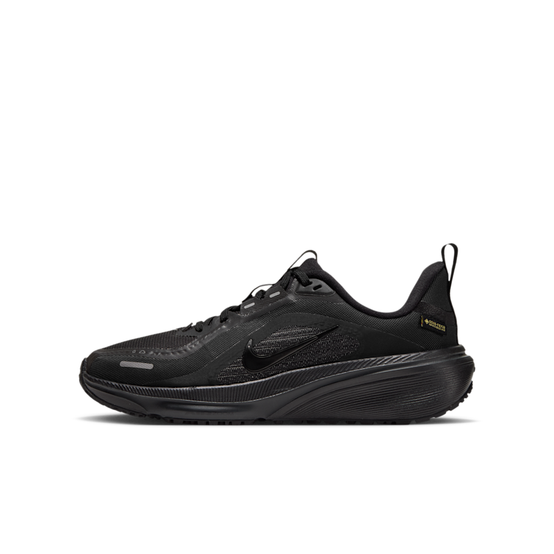 Nike Pegasus 42 GORE-TEX