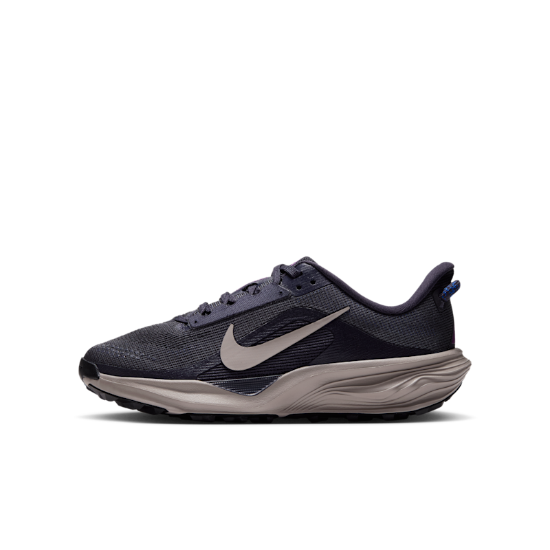 Nike ACG Pegasus Trail