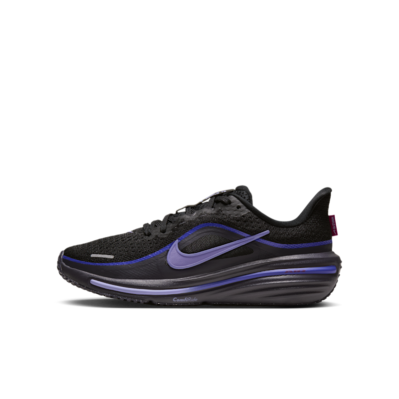 Nike Winflo 12