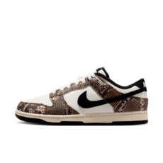 Nike Dunk Low Retro