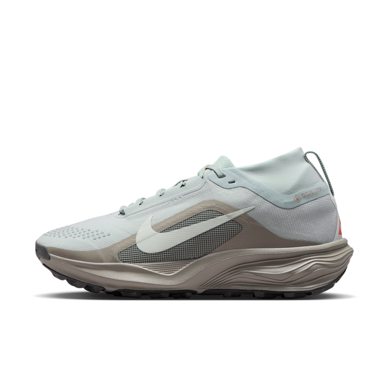 ACG Pegasus Trail GORE-TEX