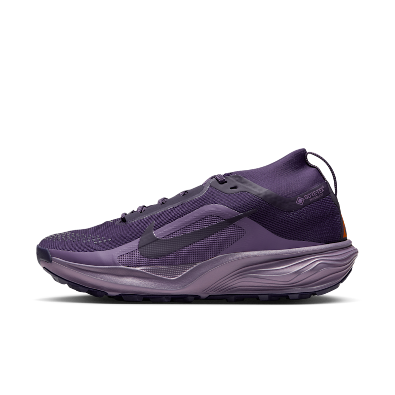 ACG Pegasus Trail GORE-TEX